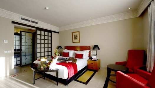 Suite Pasha