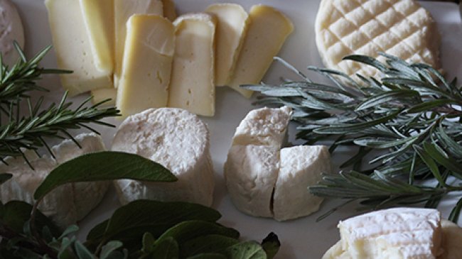 Cheese tasting 2