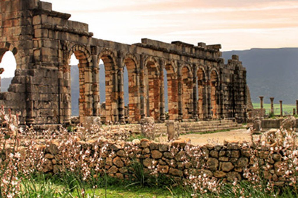 Discovery of Volubilis