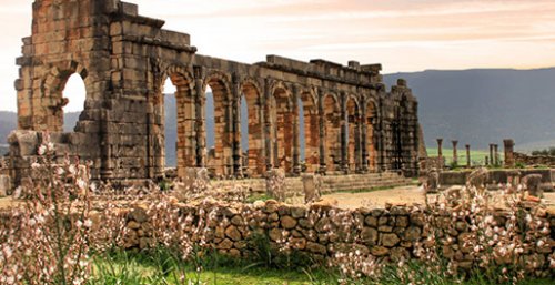 Discovery of Volubilis