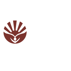 logo Medina Sun