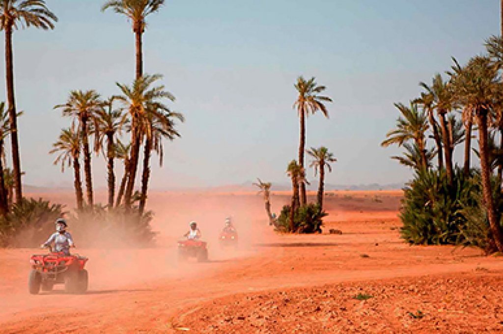 Quad biking in the palm grove of Marrakech