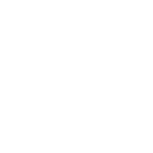 logo Riad Nashira & Spa