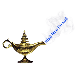 logo Riad bleu du Sud