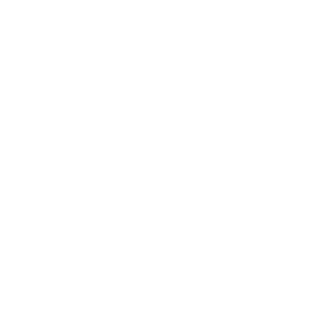 logo Marina Dreams