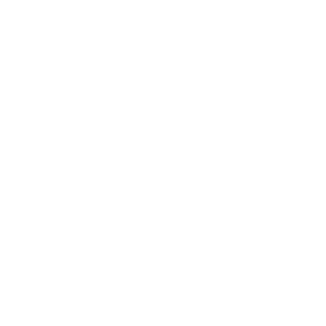 logo Dakhla White House
