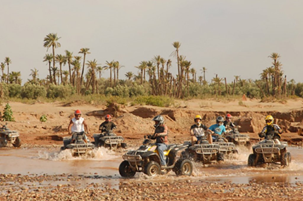 Neljarattasõit Marrakechi palmisaludes